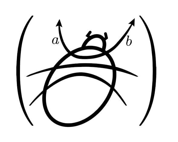 Logo of the SAMSA Workshop, a bug on its back inside a matrix
